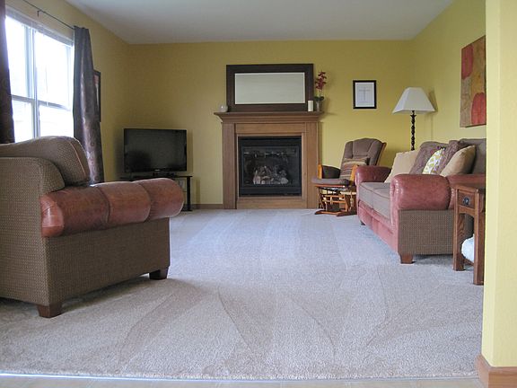 Gas fireplace