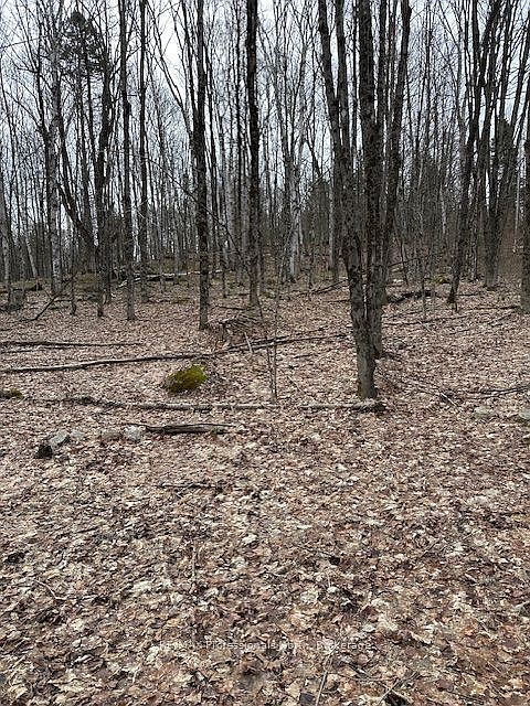 1st image of 0 Providence Dr