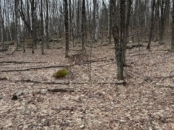 0 Providence Dr, Algonquin Highlands, ON K0M 1J1