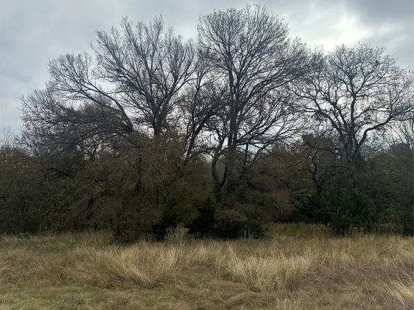 44080 Mountain Sage Dr, Whitney, TX 76692