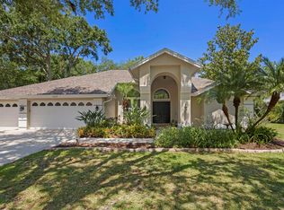 15819 Dawson Ridge Dr, Tampa, FL 33647