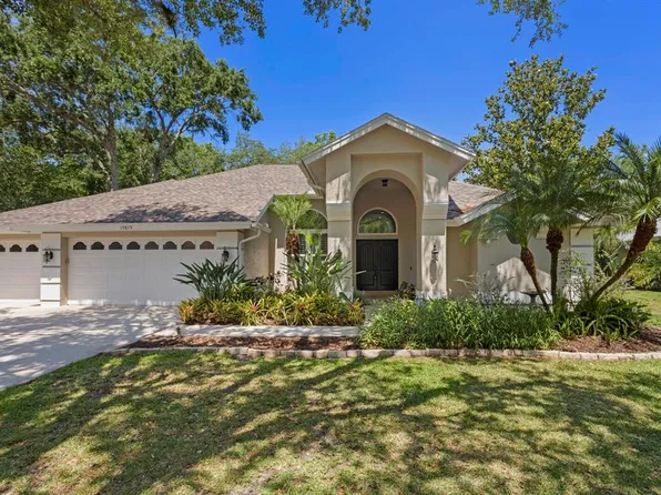 15819 Dawson Ridge Dr, Tampa, FL 33647