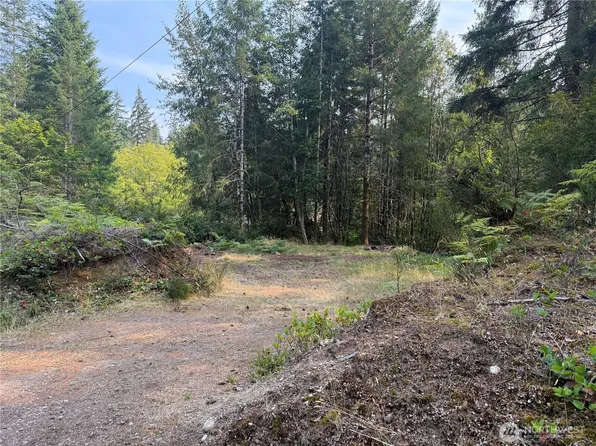 31 E Tintagel Place, Shelton, WA 98584