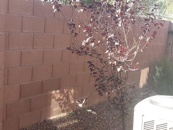 20150323_083453_12282015