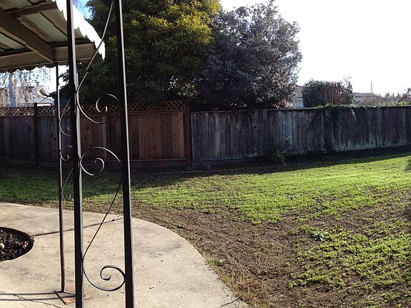 Backyard Panarama Photo