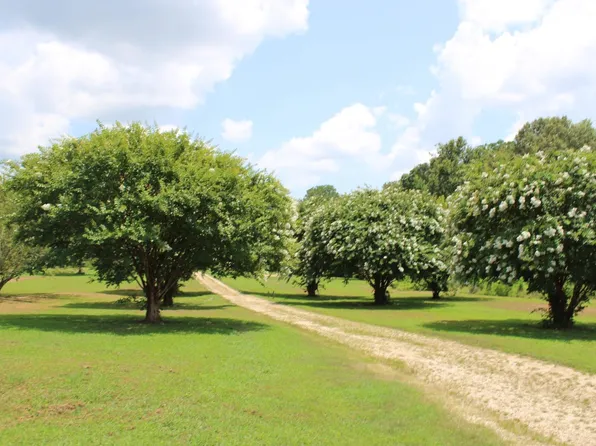 8055 Highway 87 W, Henning, TN 38041
