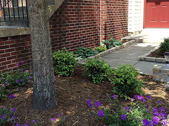 4th image of 6634 Patent Parish Ln