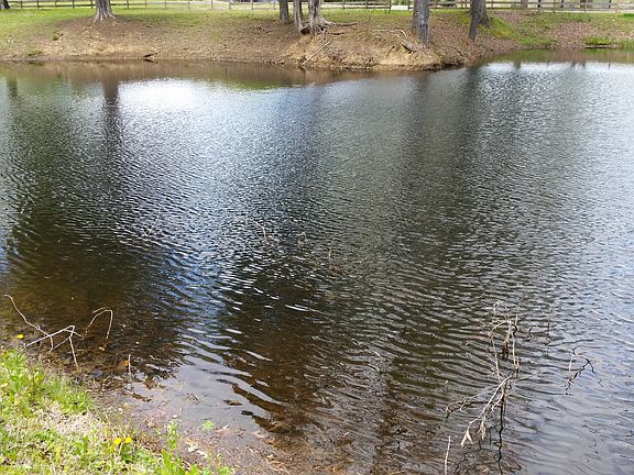4th image of 1050 Hewlett Dr