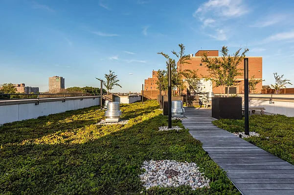 Rented by Nooklyn NYC LLC | media 58