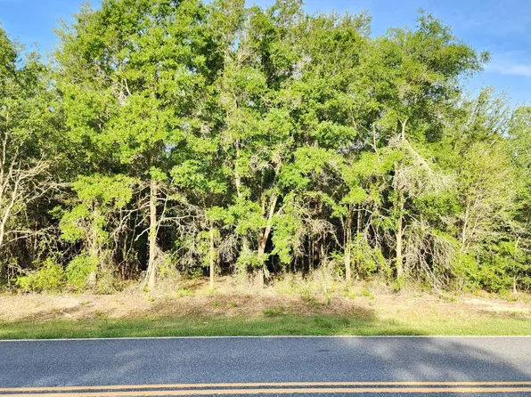 Tbd Sw Old Wire Rd, Fort White, FL 32038