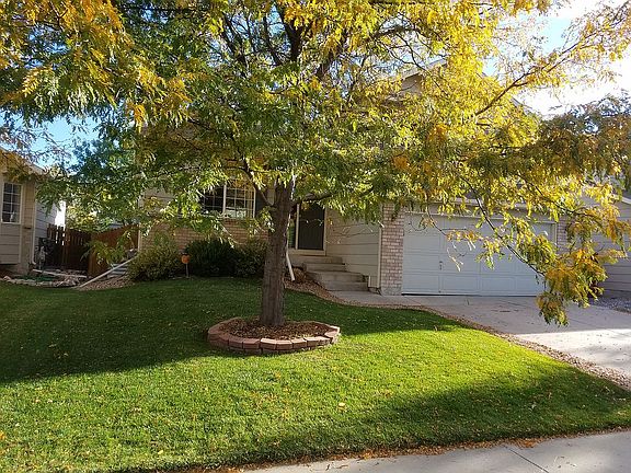 Complete landscaping