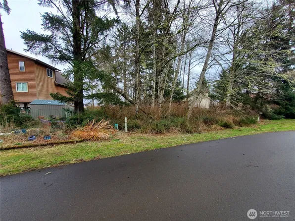 816 Duck lake Drive NE, Ocean Shores, WA 98569