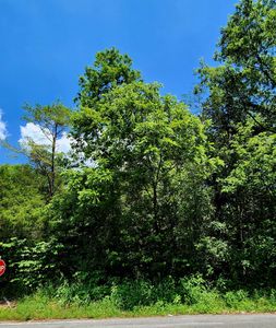 0 E Valley Rd, Pikeville, TN, 37367