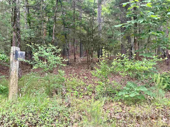 0 Vz County Road 4917, Ben Wheeler, TX 75754