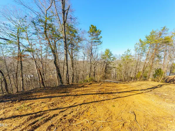 Nancy Pt, Spring City, TN 37381