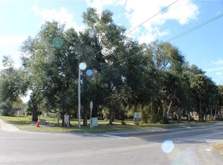 104 W Michael Gladden Blvd, Apopka, FL 32703