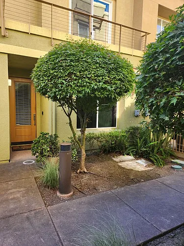 338 City Center Dr Photo 1