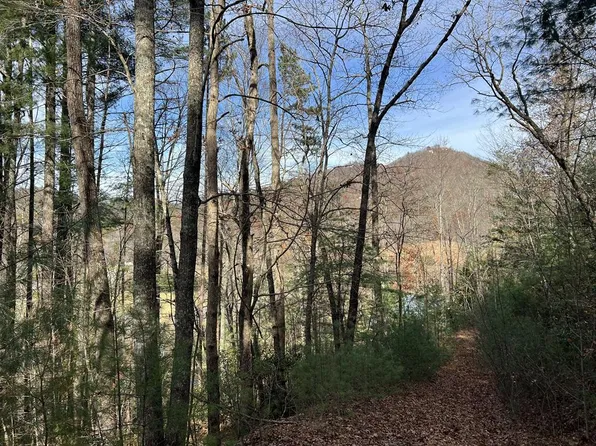 0 Downings Creek Ln, Hayesville, NC 28904