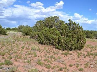 4524 E Pinto Rd, Snowflake, AZ 85937