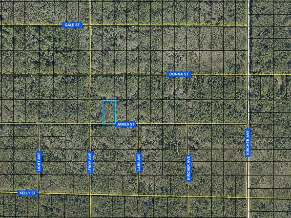 Tbd james, Hastings, FL 32145