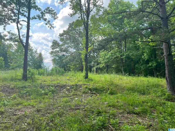 0 County Road 91 #1, Montevallo, AL 35115