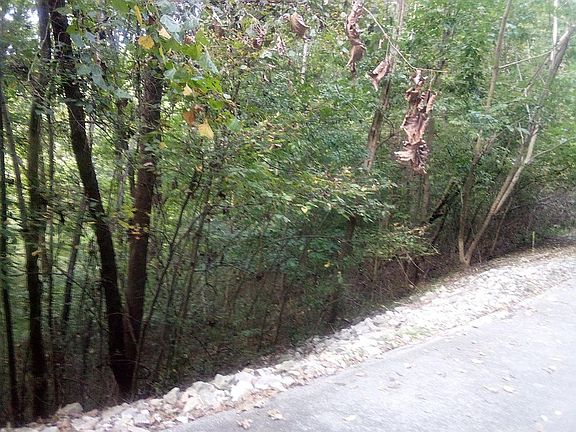 5th image of Lake View Dr