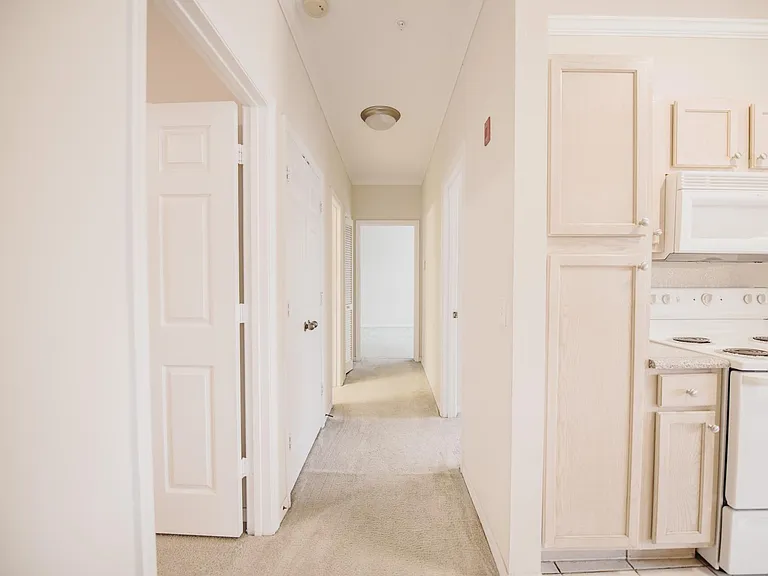 7800 Point Meadows Dr #1528 — Photo 7