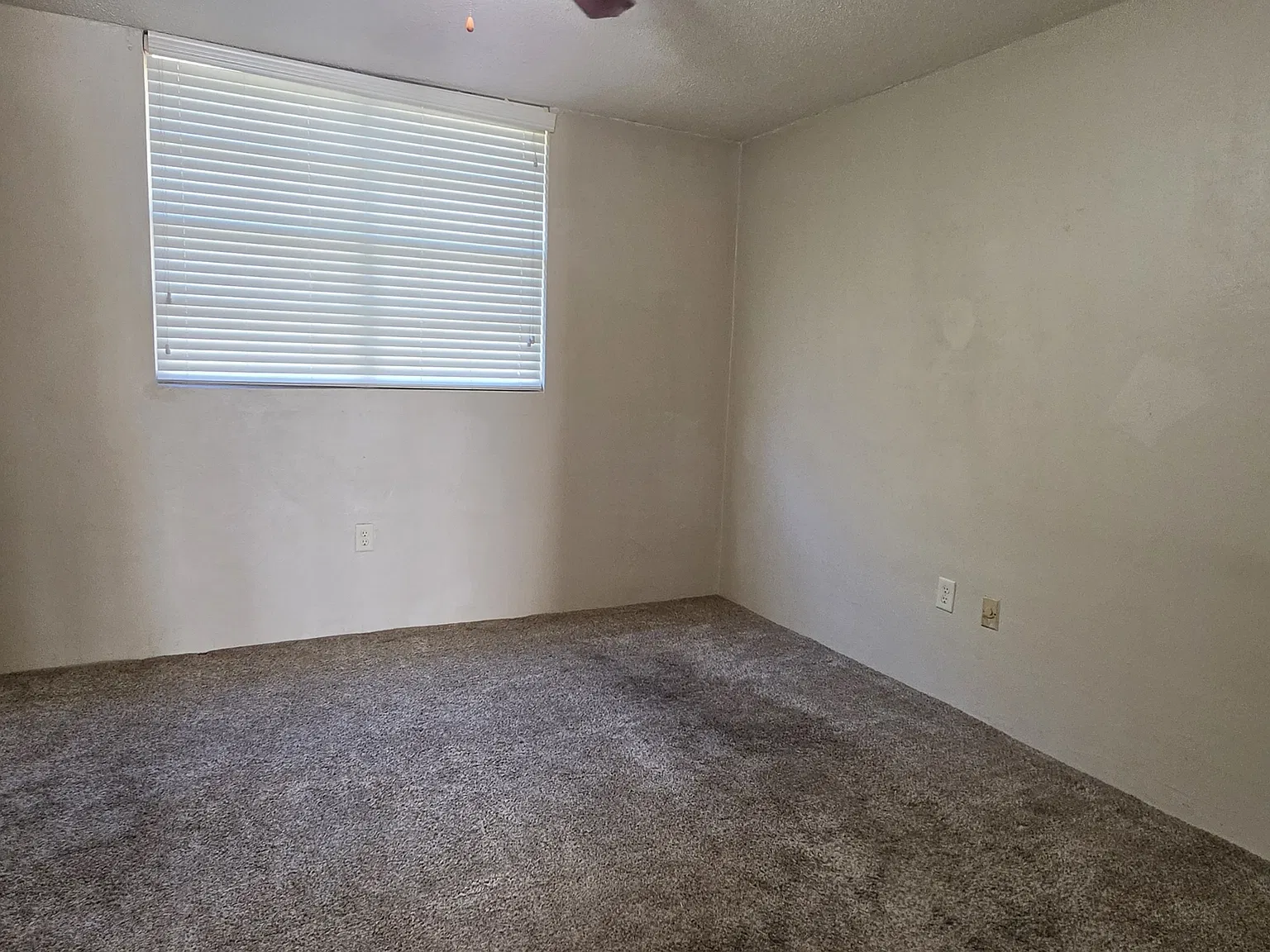 1 bed, $875 — Photo 4