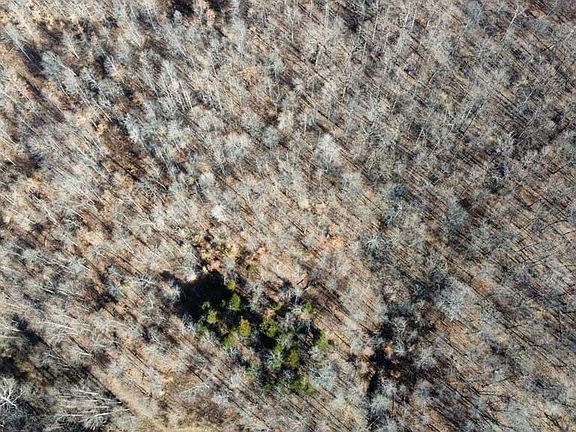 2nd image of 10236 W County Road 75 S