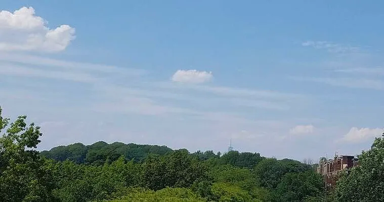 Rented by Smart NY Realty LLC | media 17