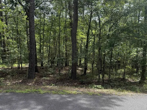 14 Ola Way, Hot Springs Village, AR 71909