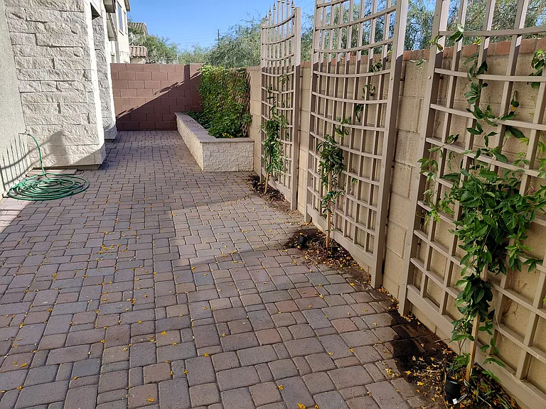 Backyard reverse view
