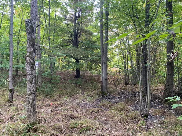 19 Turtle Ln, Carling, ON P0G 1G0