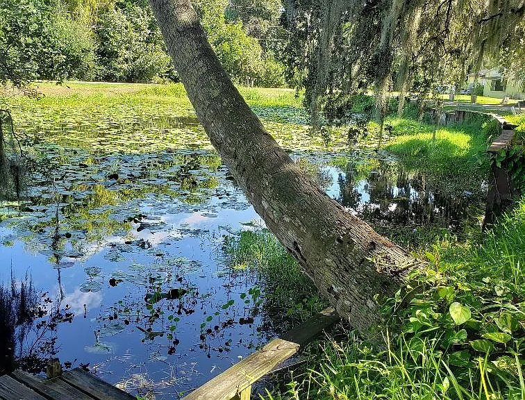 Crescent Lake Dr — Photo 14
