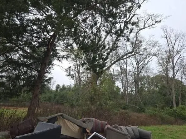 355 N Brunswick St, Jesup, GA 31546