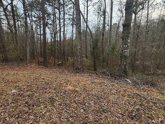 3rd image of 0 Monument Rd