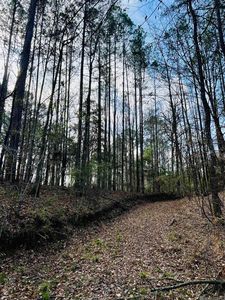 15397 Rogers Rd, Saint Francisville, LA, 70775