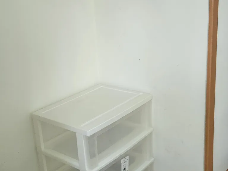 View in Bedroom #1 of closet