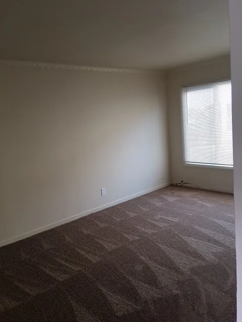 1 bed, $1,700 — Photo 3