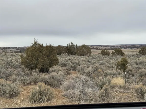 TBD Highway 184, Lewis, CO 81327