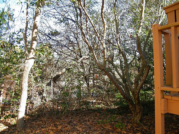 NATURAL WOODED BOUNDARY