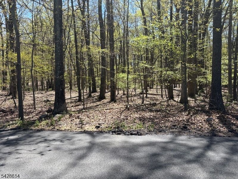 1st image of 61 Quenby Mountain Rd