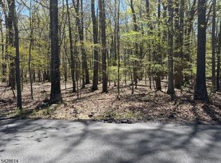 61 Quenby Mountain Rd, Liberty Twp., NJ 07838