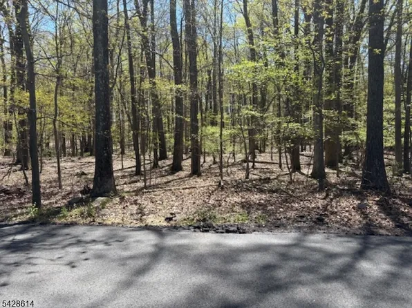 61 Quenby Mountain Rd, Liberty Twp., NJ 07838