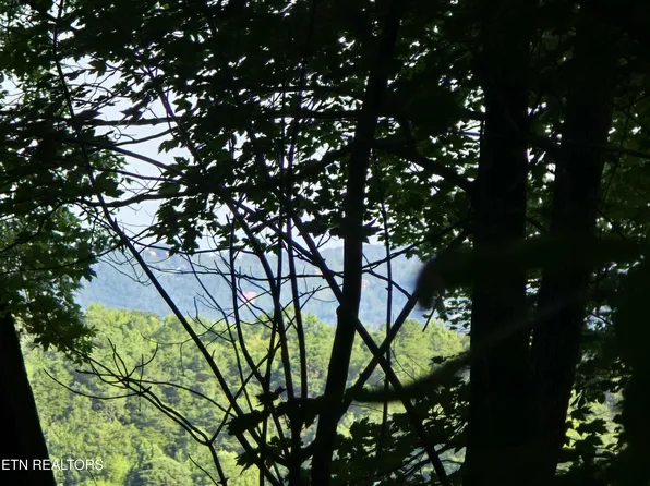 LOT 586 Silver Poplar Ln, Sevierville, TN 37876