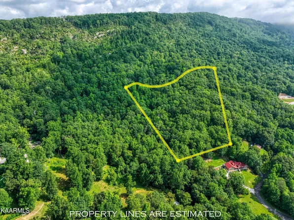 0 Bibee Ln Lot Tr 7, Caryville, TN 37714