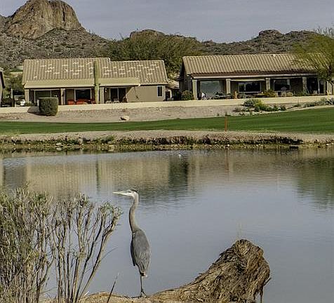 5th image of 5781 S Pinnacle Dr