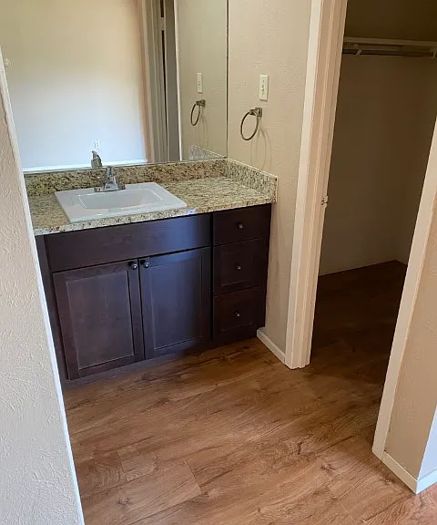 Master sink and walk in closet