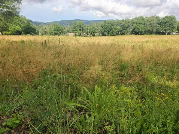 0 Laning Creek Rd, Towanda, PA 18848