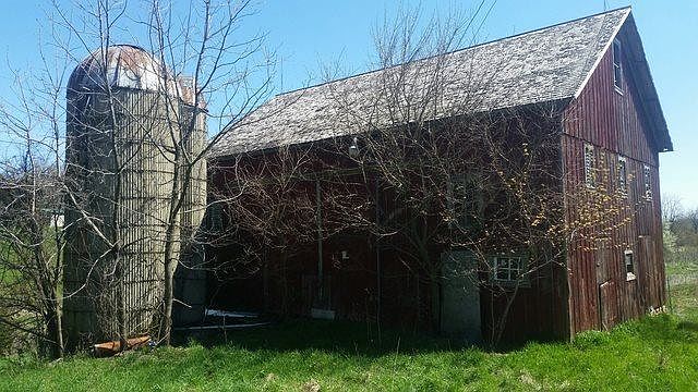 2nd image of 8457 N Crossroads Rd